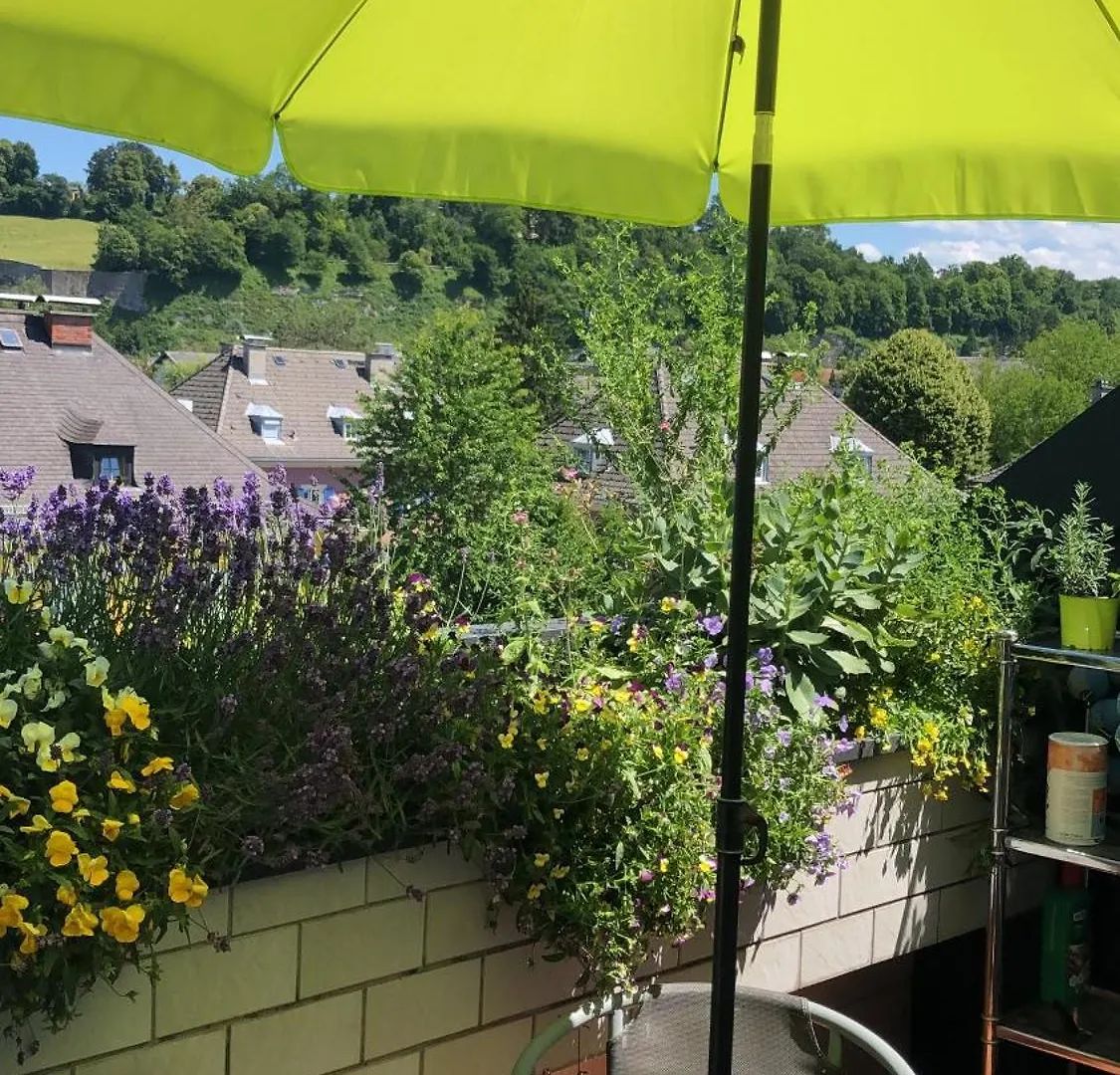 Ruhiges Apartment Mit Dachterrasse In Salzburg